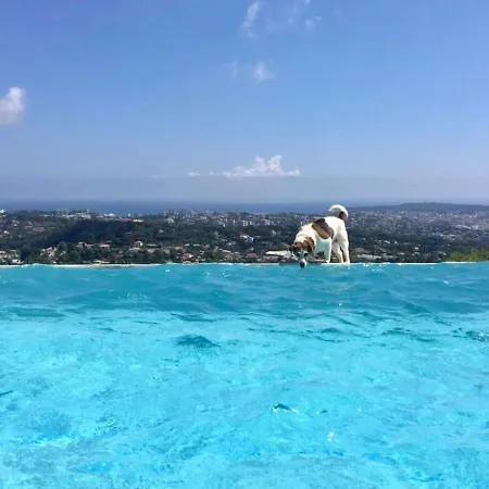 Villa Antibes 180 Seawieu